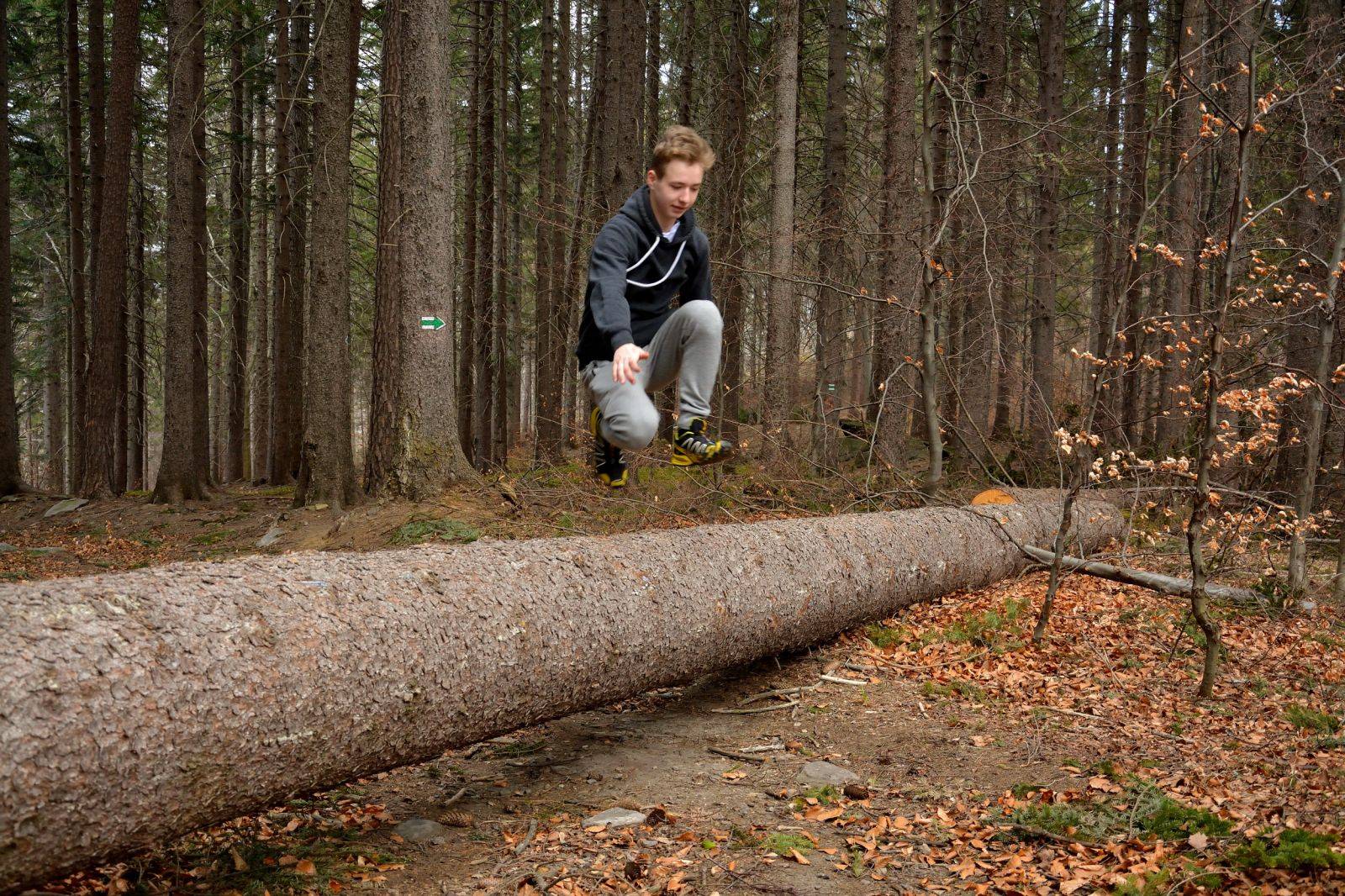 Otvírání skal