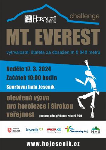 Mt. Everest challenge